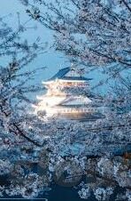 91av那个麻豆经济在哪里下载-91av麻豆经济的数字版图，探索影视平台的下载与未来