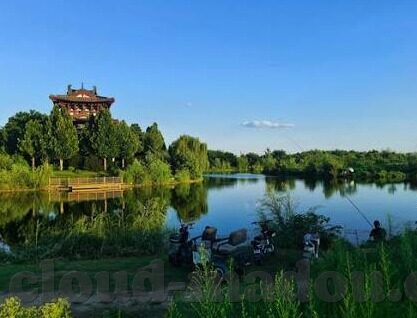 糖心直播免费版app下载-声乐世界里的一抹温馨，解锁糖心直播免费版的温柔体验